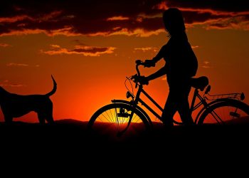 woman, bike, sunset, walk, nature, silhouettes, animal, girl, dog, pet, owner, travel, dusk, twilight, backlighting, orange sky, afterglow, bike, dog, dog, dog, dog, dog, travel