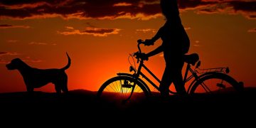 woman, bike, sunset, walk, nature, silhouettes, animal, girl, dog, pet, owner, travel, dusk, twilight, backlighting, orange sky, afterglow, bike, dog, dog, dog, dog, dog, travel
