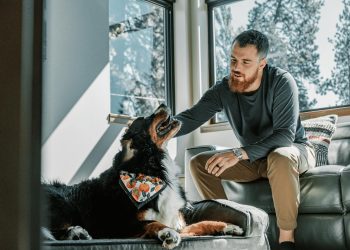 A man enjoys a moment with his Bernese mountain dog indoors, capturing warmth and companionship.