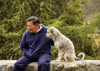 older, dog, old man with his dog, animal, pet with its master, older, older, older, pet, older, older