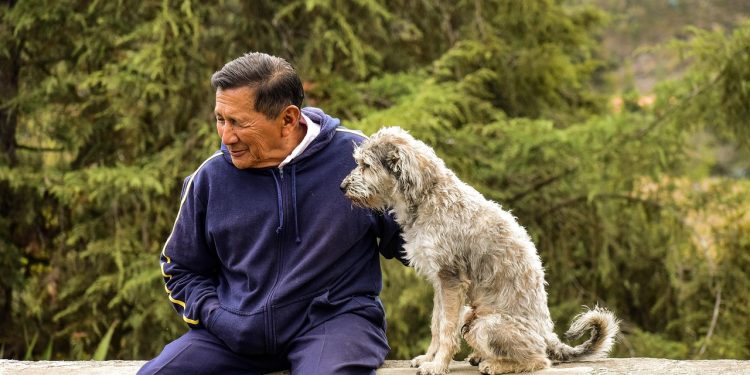 older, dog, old man with his dog, animal, pet with its master, older, older, older, pet, older, older