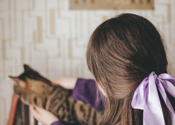 cat, kitten, pet, girl, friends, kid, ribbon, cat, cat, kitten, kitten, pet, pet, pet, pet, pet, animal, girl, girl, ribbon, ribbon, ribbon, ribbon