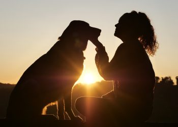 dog, animal, nature, pet, friends, girl, friendship, canine, mammal, love, care, friendship day, pet, pet, pet, pet, pet, friendship, friendship
