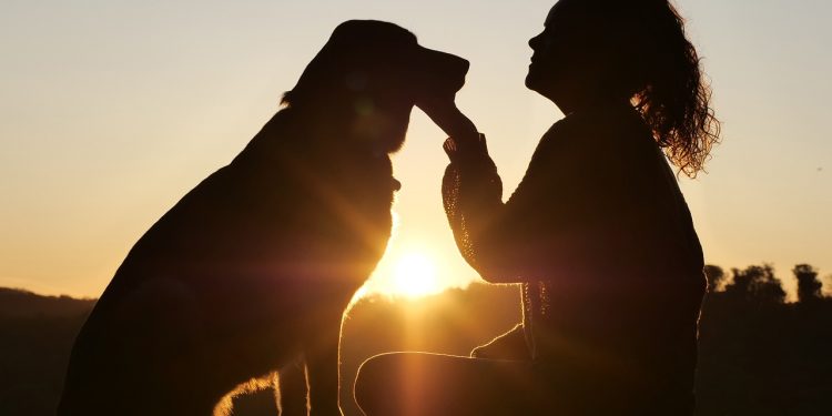 dog, animal, nature, pet, friends, girl, friendship, canine, mammal, love, care, friendship day, pet, pet, pet, pet, pet, friendship, friendship