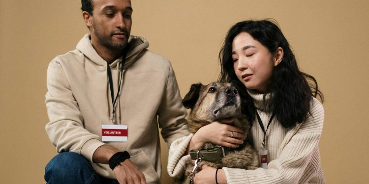 A caring couple of volunteers with a rescue dog in a studio setting.