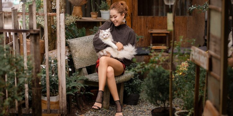 woman, cat, feline, pet, model, beauty, animal, make-up, young, fashion, portrait, cat, cat, cat, cat, cat, pet, pet, pet, pet, pet