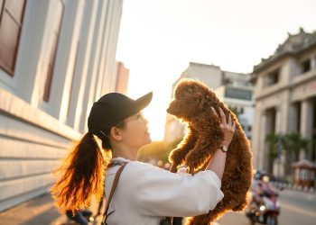 woman, dog, pet, sunset, street, city, road, friends, nature, girl, portrait, dog, dog, dog, dog, animal, dog, pet, pet, pet, pet, friends, girl, girl