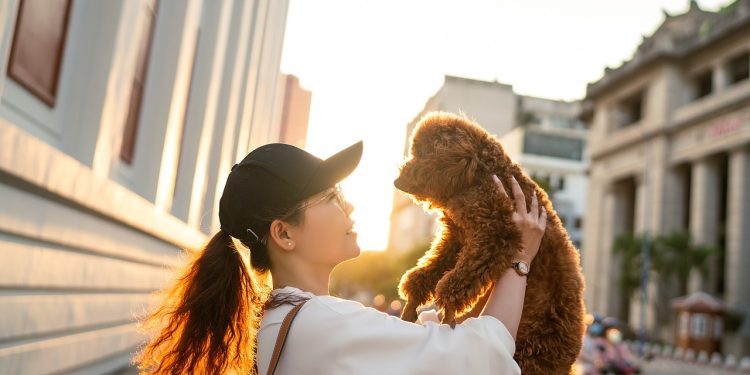 woman, dog, pet, sunset, street, city, road, friends, nature, girl, portrait, dog, dog, dog, dog, animal, dog, pet, pet, pet, pet, friends, girl, girl