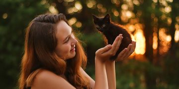 evening, kitten, nature, woman, sunset, animal, girl, light, bokeh, cute, outdoors, pet, cute, pet, pet, pet, pet, pet