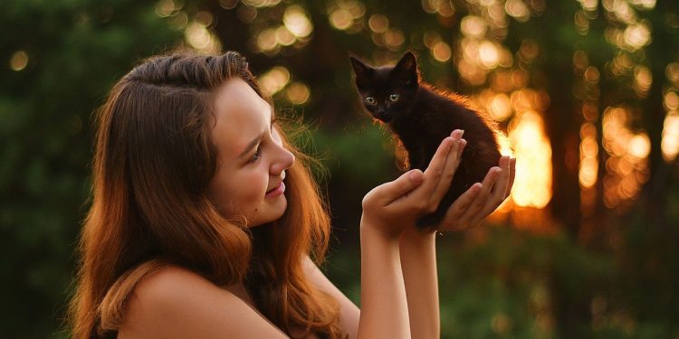 evening, kitten, nature, woman, sunset, animal, girl, light, bokeh, cute, outdoors, pet, cute, pet, pet, pet, pet, pet