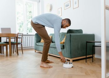 A man places a dog bowl on the floor in a modern living room with green furniture.