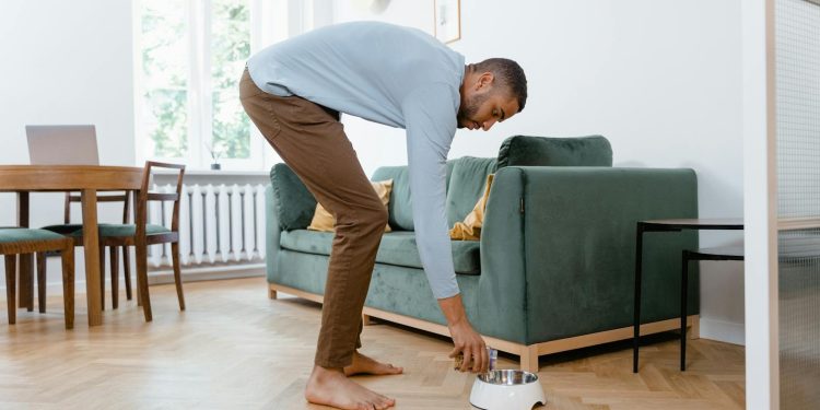A man places a dog bowl on the floor in a modern living room with green furniture.